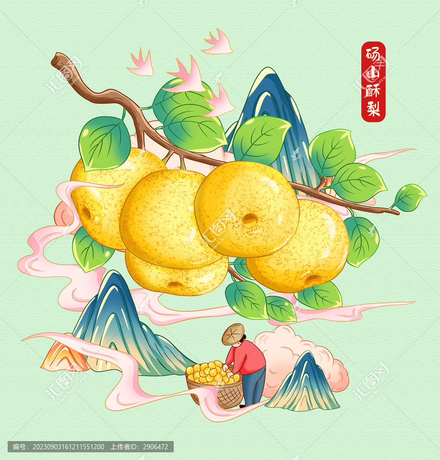 碭山酥梨手繪插畫