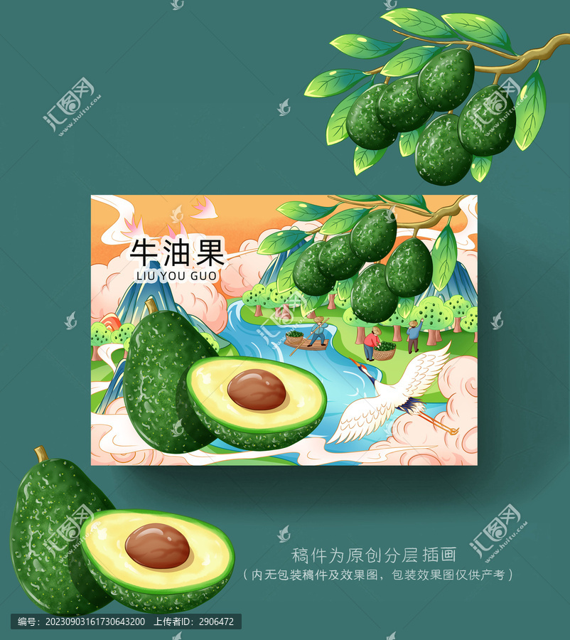 牛油果插畫包裝