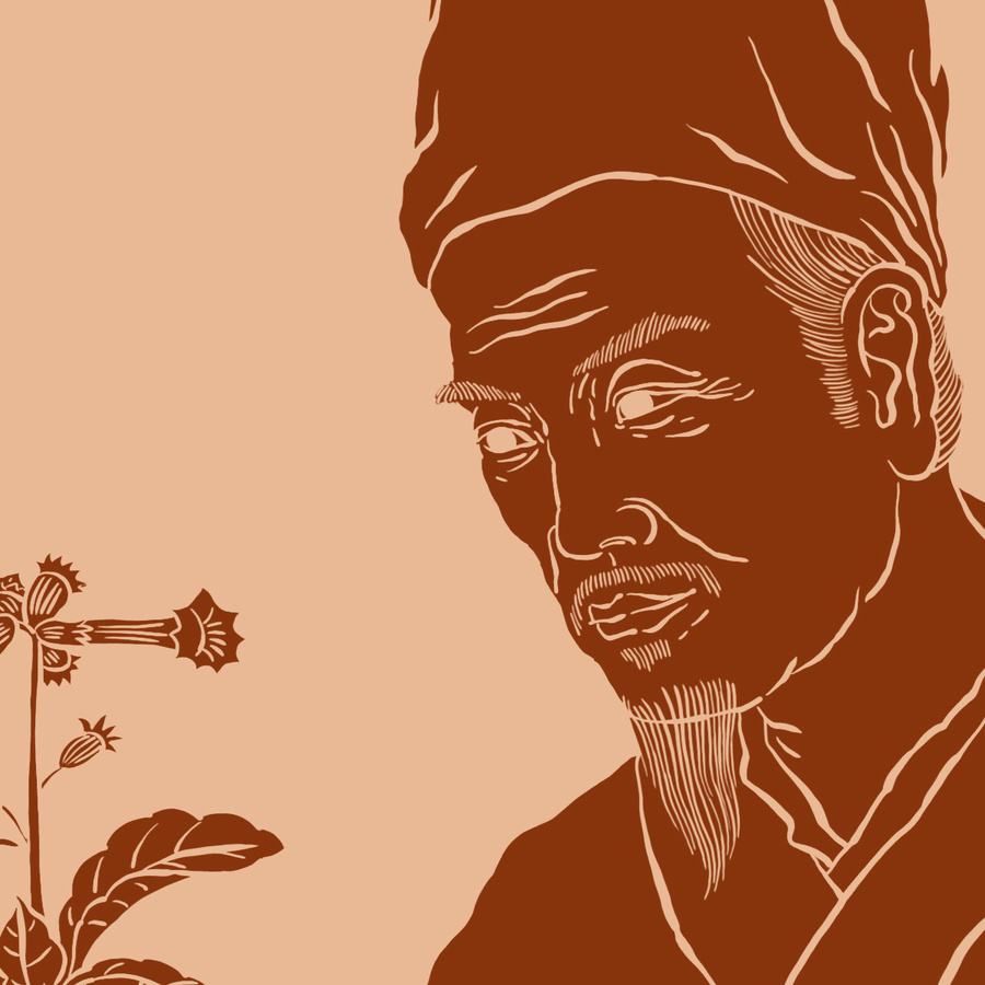 李時(shí)珍線稿圖