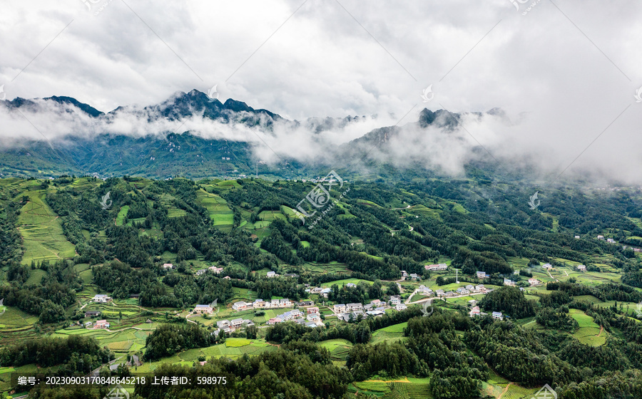 湖北恩施鹤峰木耳山茶园