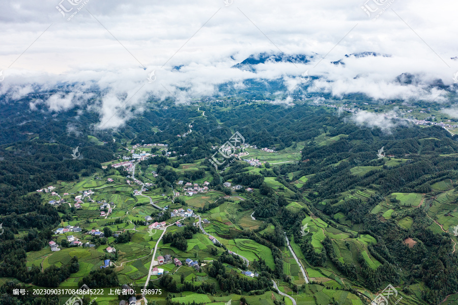 湖北恩施鹤峰木耳山茶园