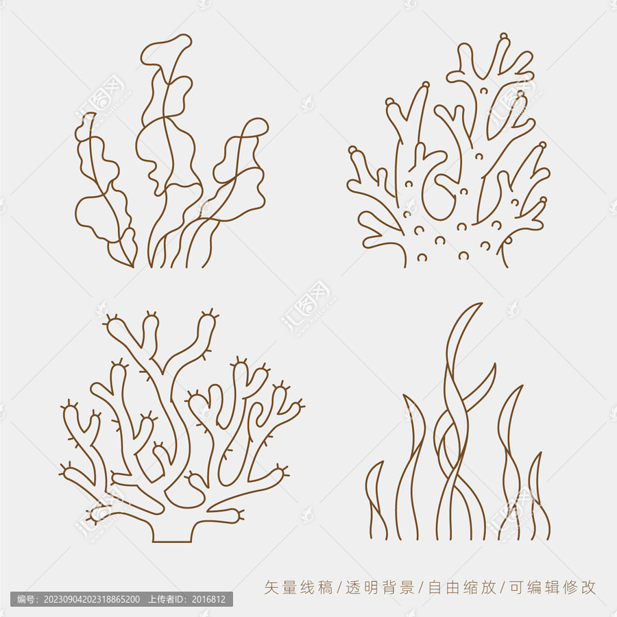 海洋生物