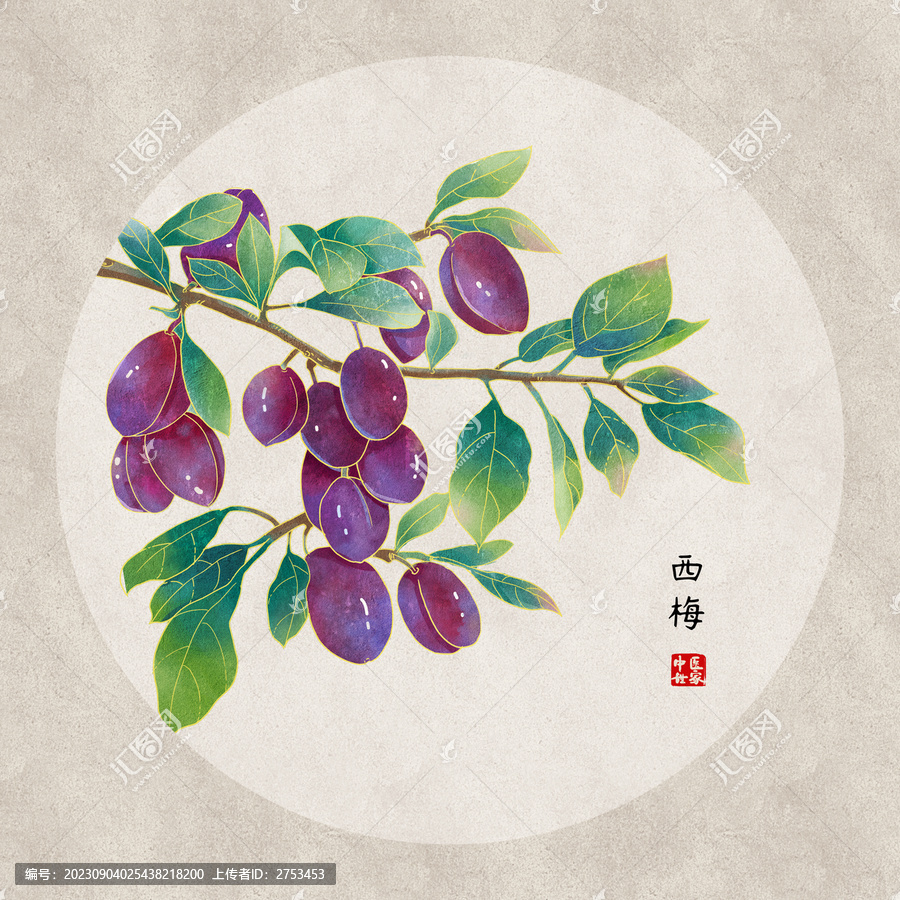 西梅