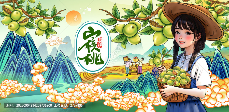 核桃包裝插畫(huà)
