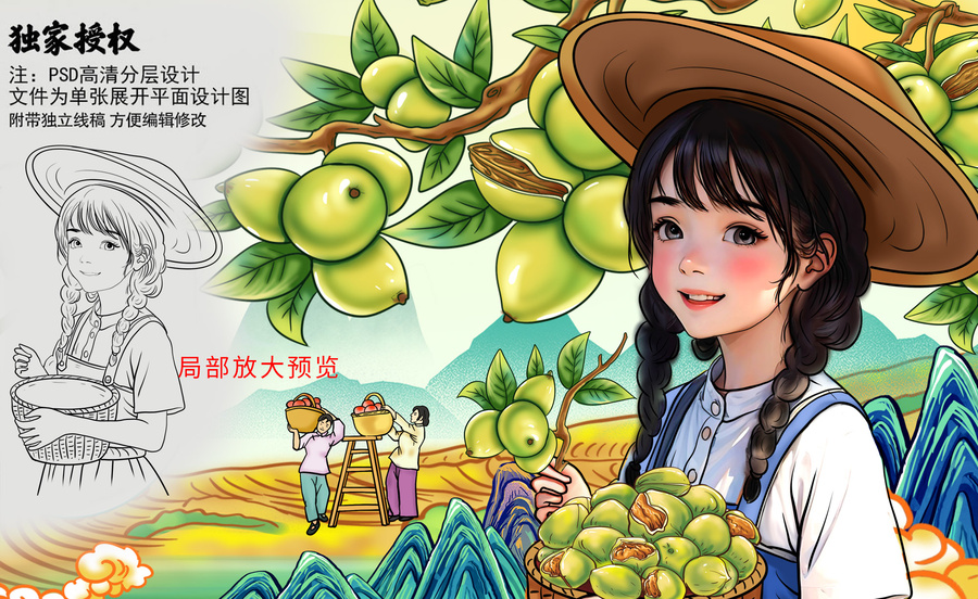 核桃包裝插畫(huà)