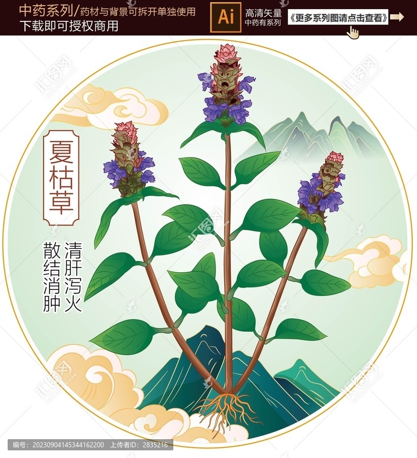 夏枯草