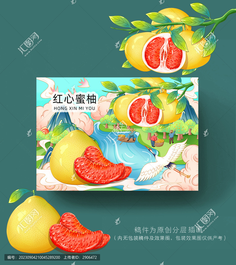 紅心蜜柚插畫
