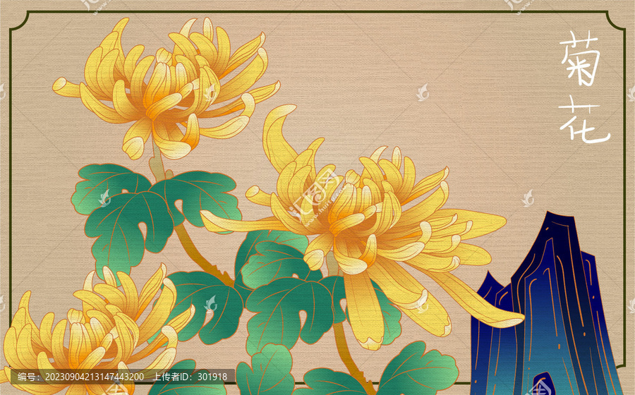 菊花