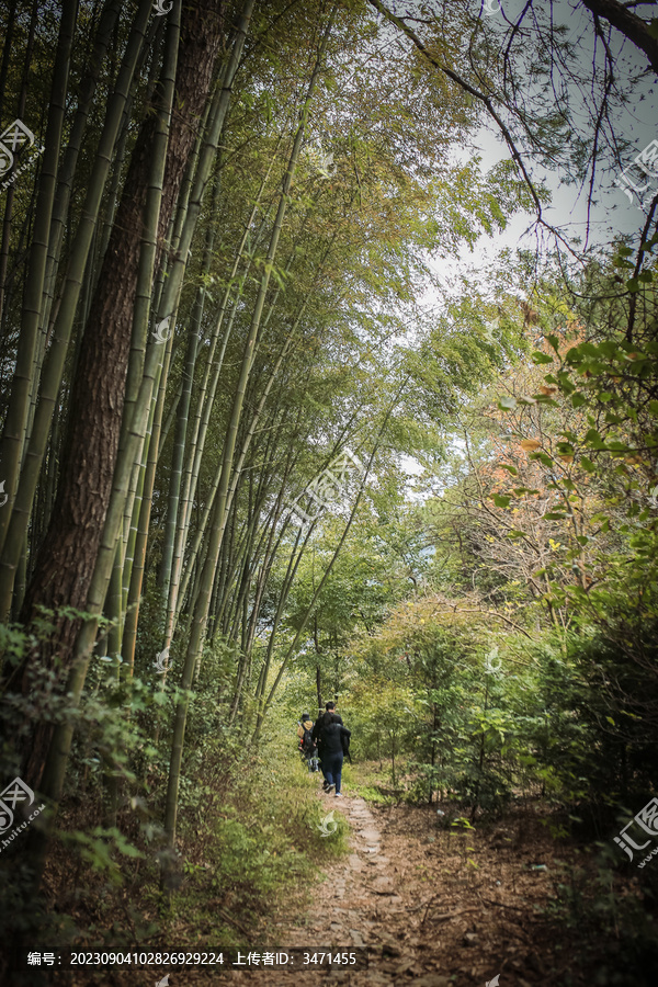 山村风光