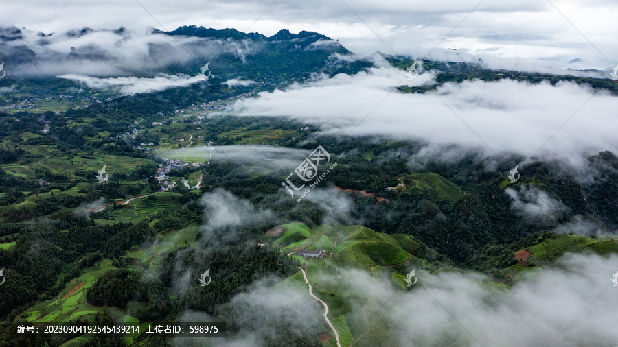 湖北恩施鹤峰木耳山茶园