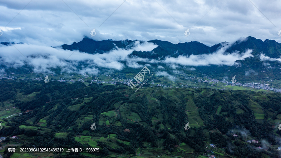 湖北恩施鹤峰木耳山茶园