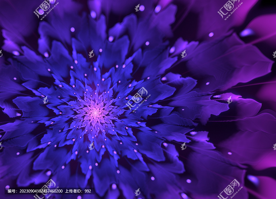 紫色分形花