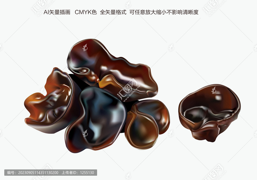 黑木耳插畫