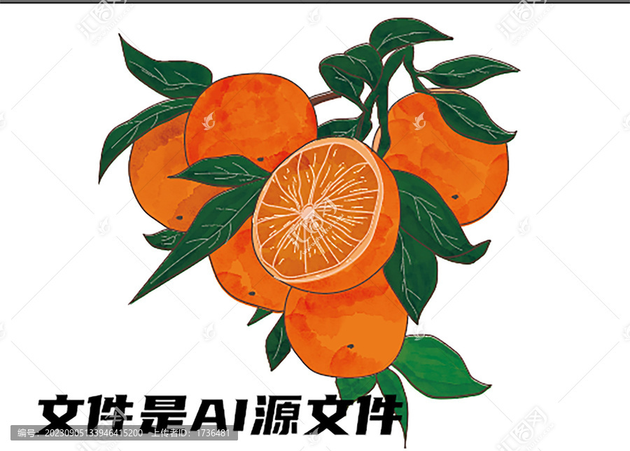 手繪橙子