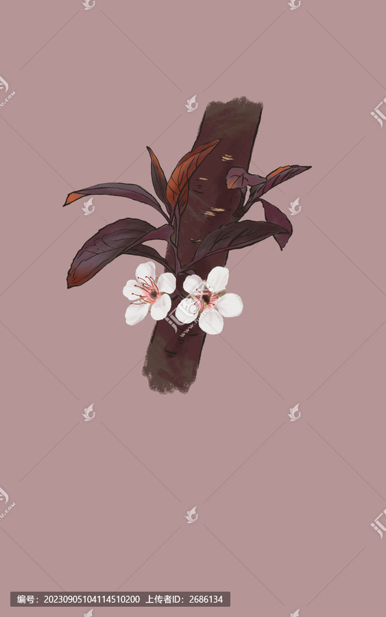 紅葉李