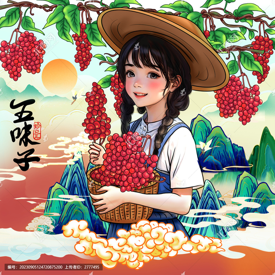 五味子包裝插畫