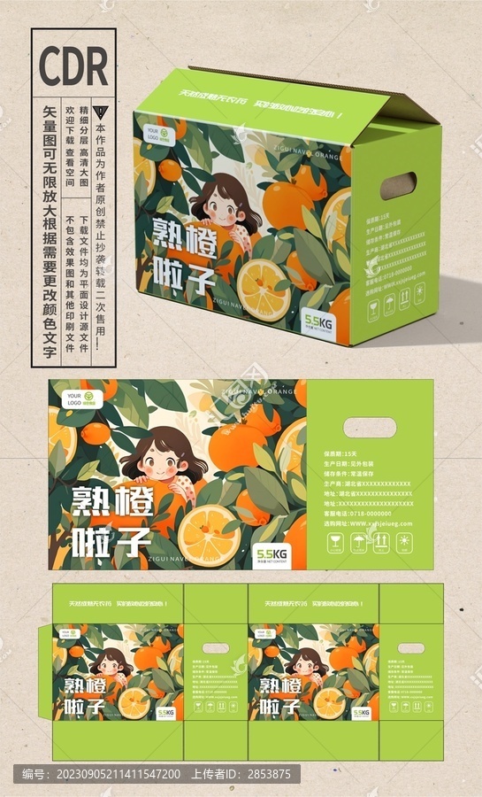 橙子包裝設(shè)計