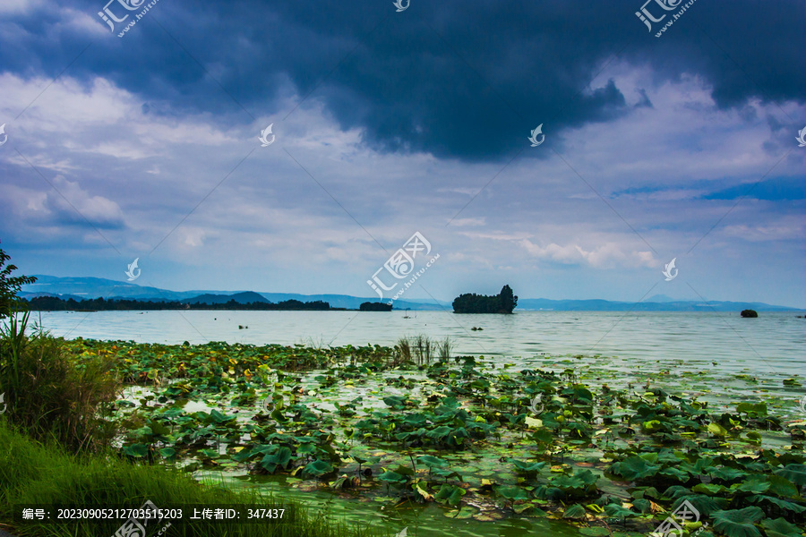 云南昆明滇池湿地