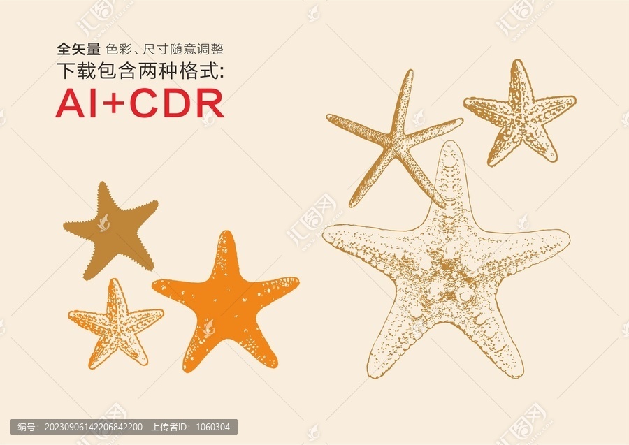 海星矢量海星圖形