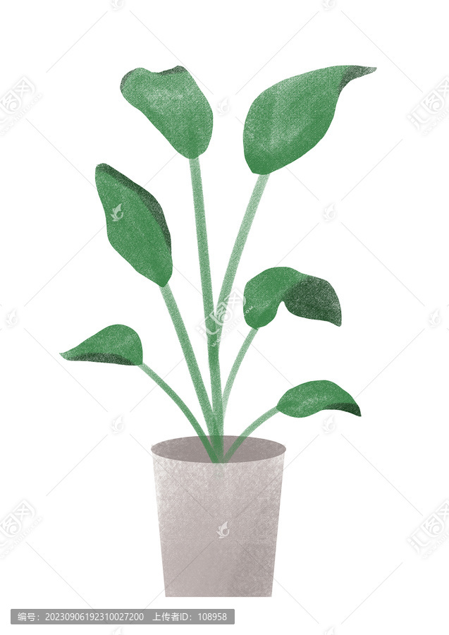 植物