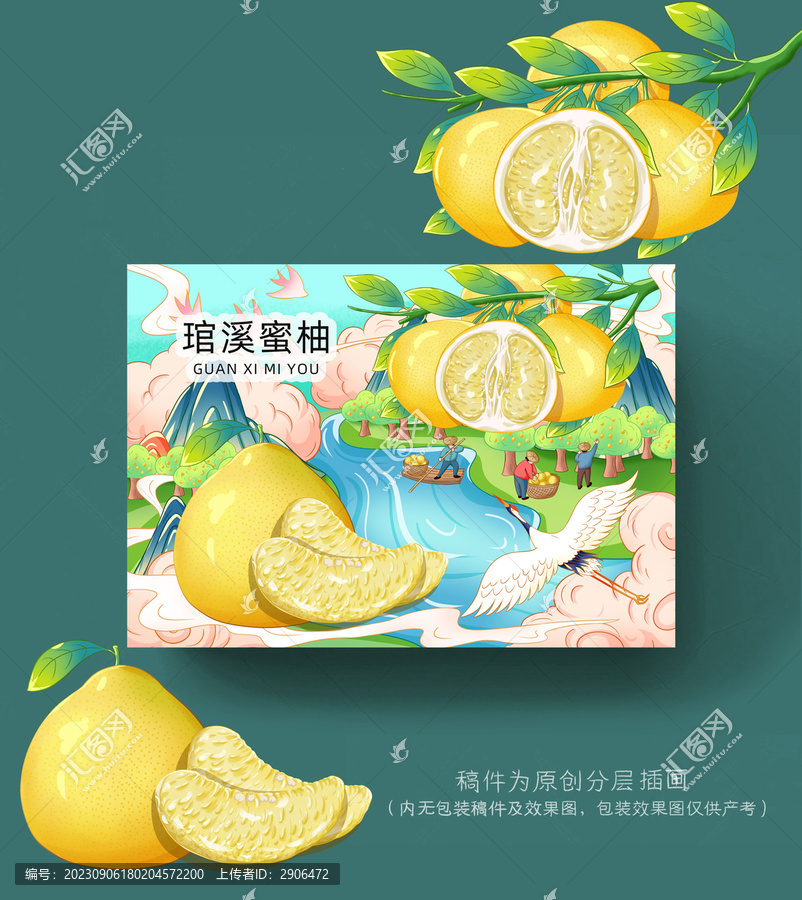 琯溪蜜柚插畫包裝