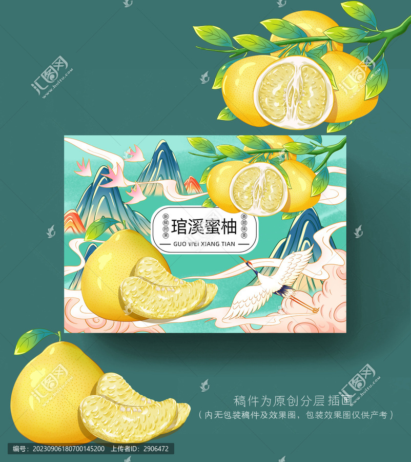 白心蜜柚插畫包裝