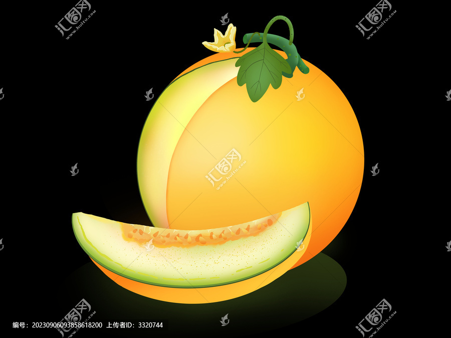 黃金瓜插畫