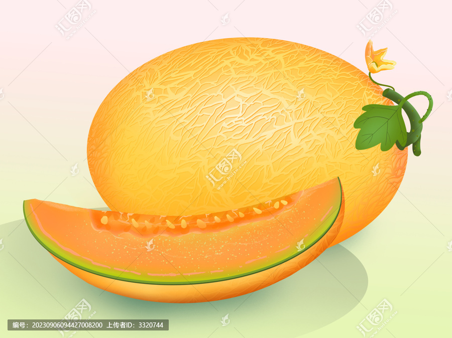 黃色哈密瓜插畫(huà)