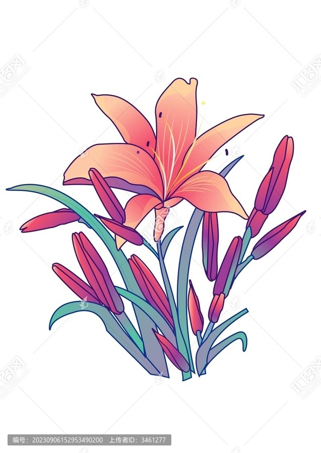 萱草花花卉矢量插畫素材
