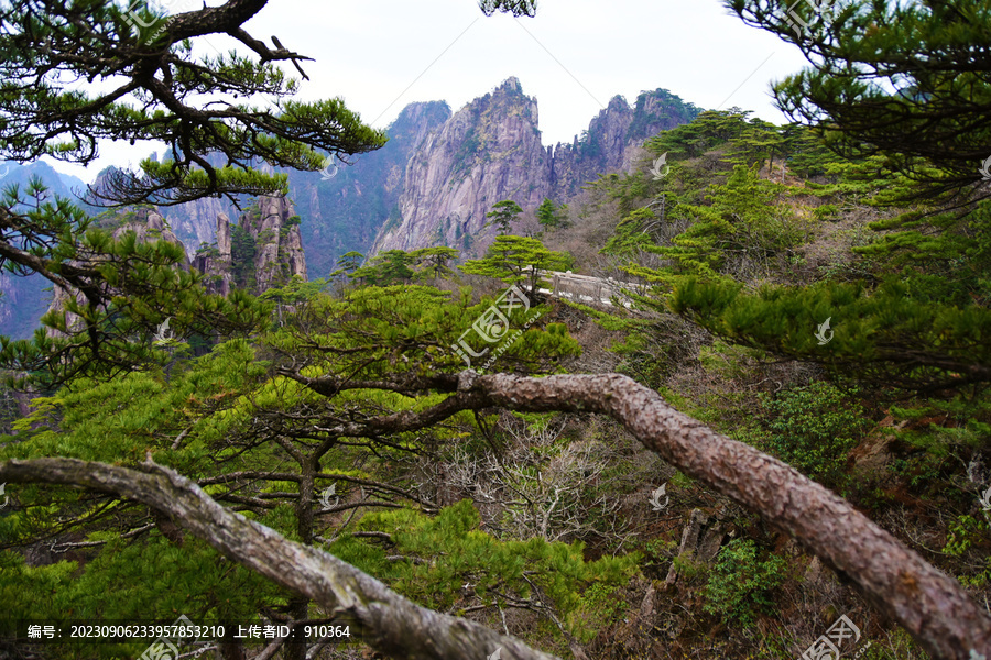 黄山美景