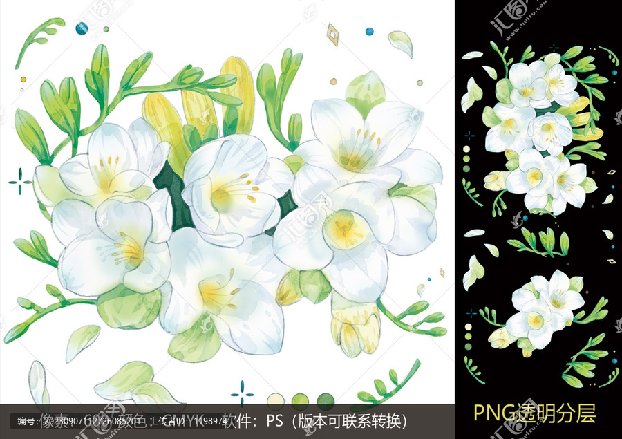 手繪小蒼蘭素材