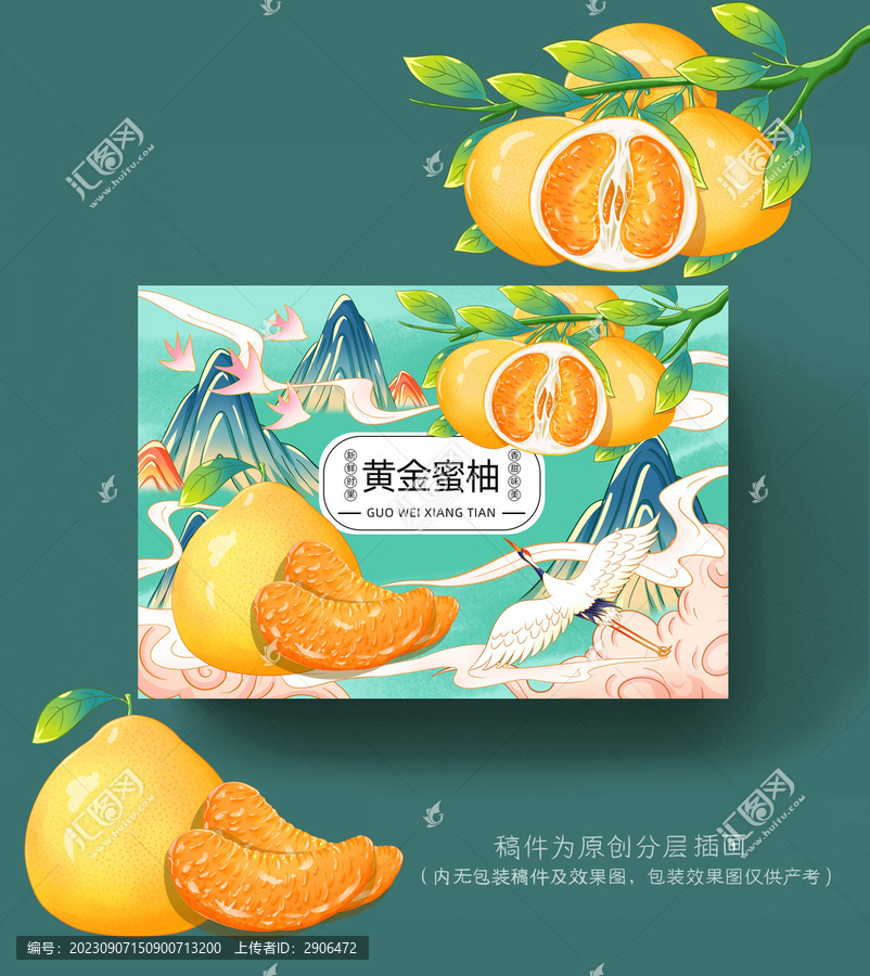 黃金蜜柚包裝插畫