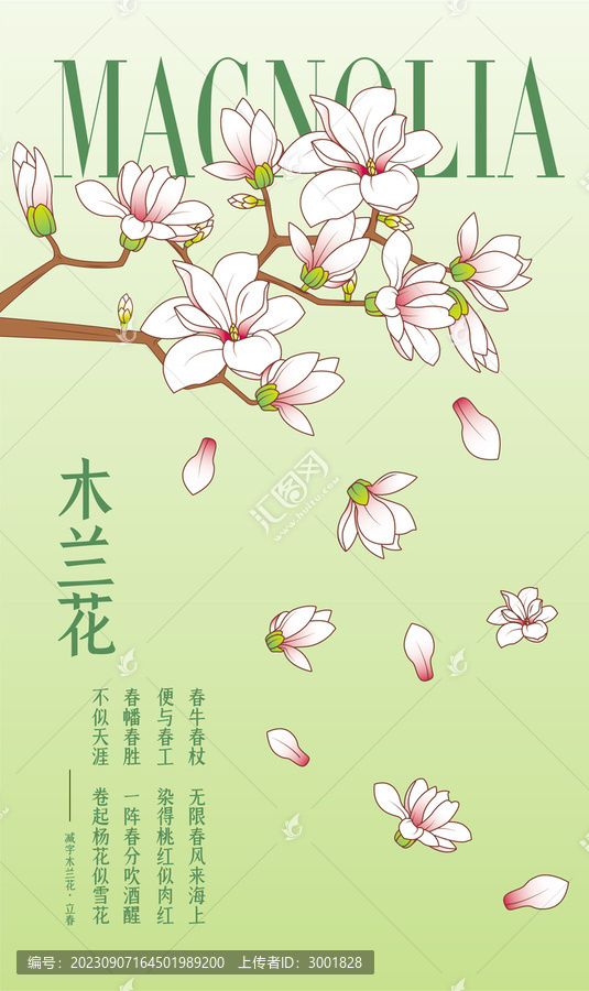 木蘭花插畫