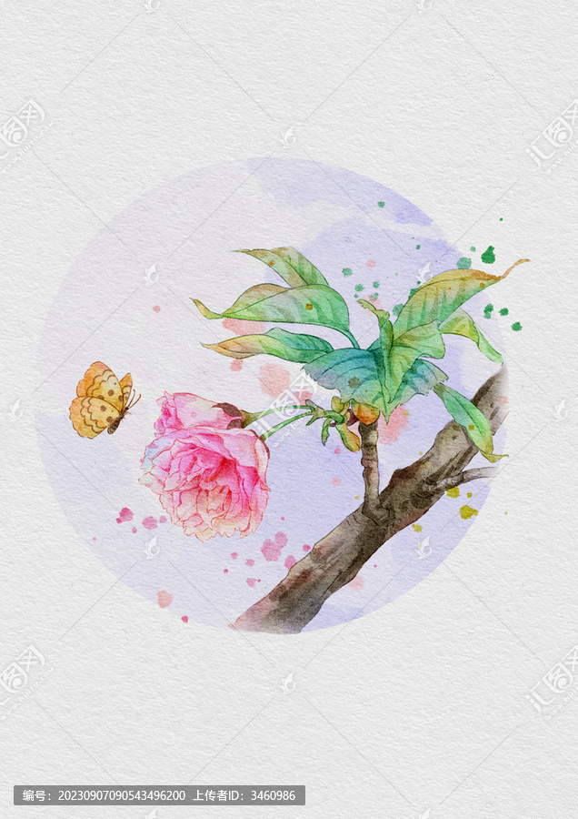 關(guān)山櫻花
