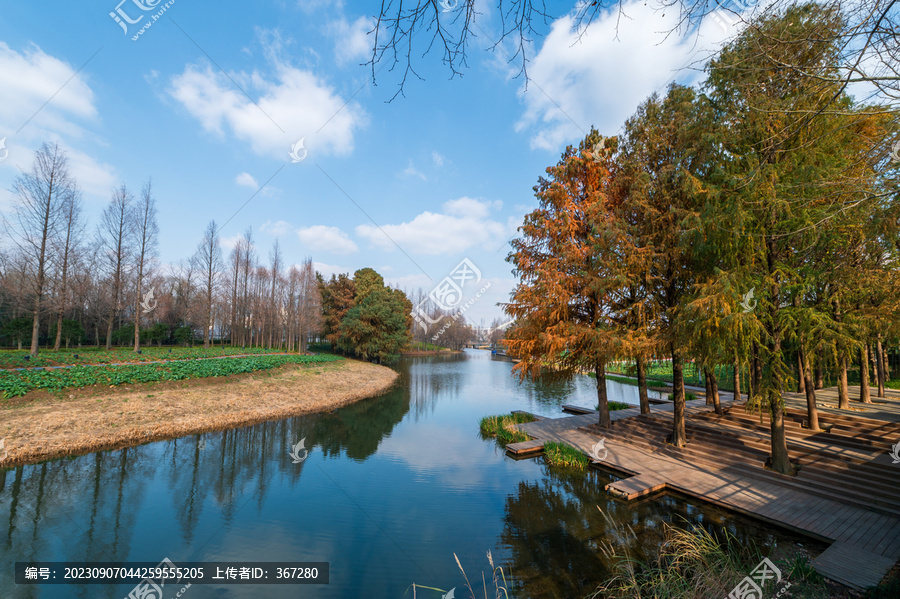 湿地公园自然美景