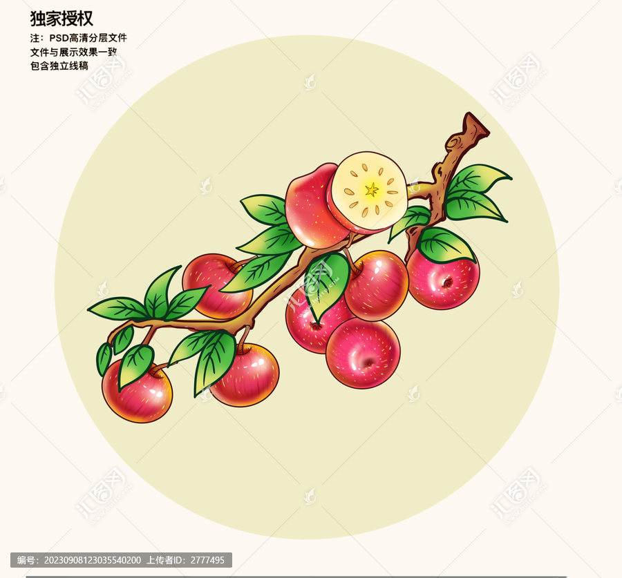 阿克蘇蘋果插畫