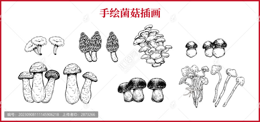 菌菇素材