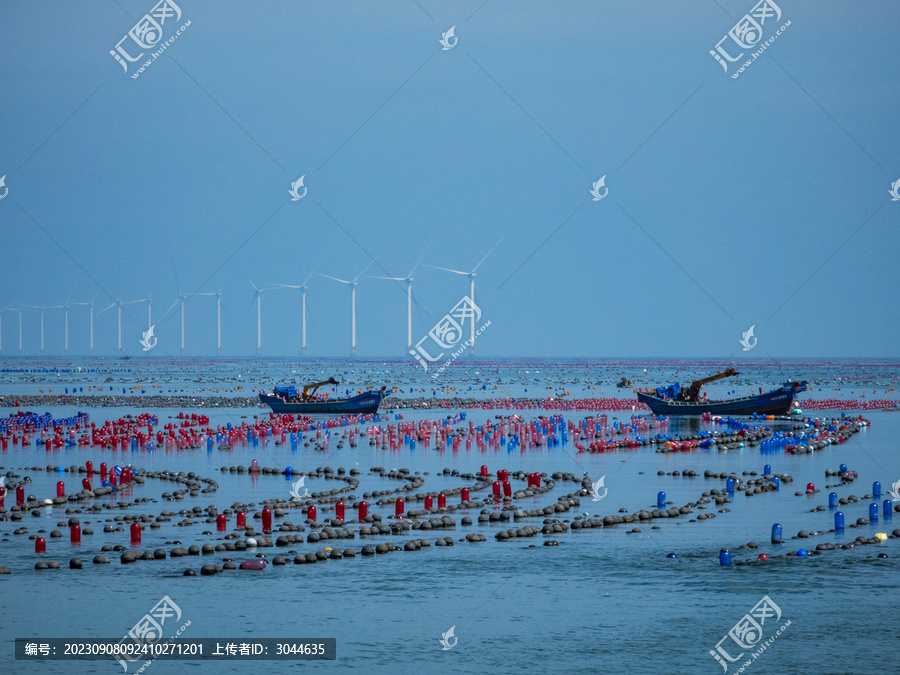 大连海洋牧场