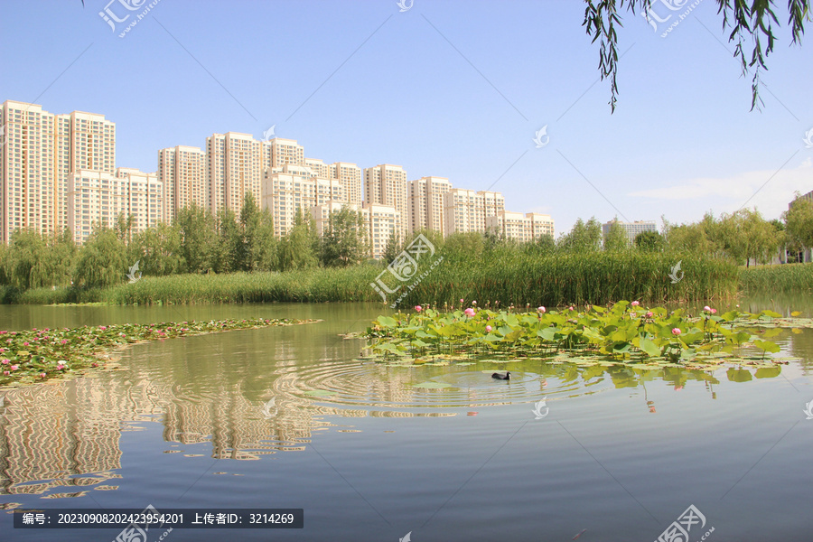 文曲湖景观