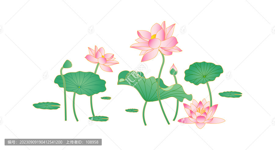 荷花