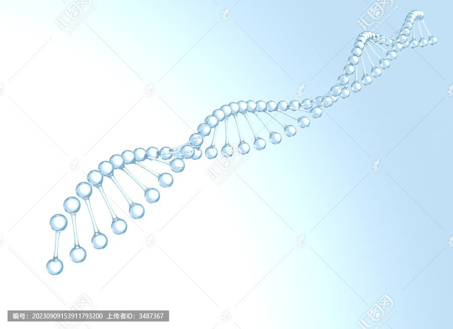 透明雙螺旋DNA