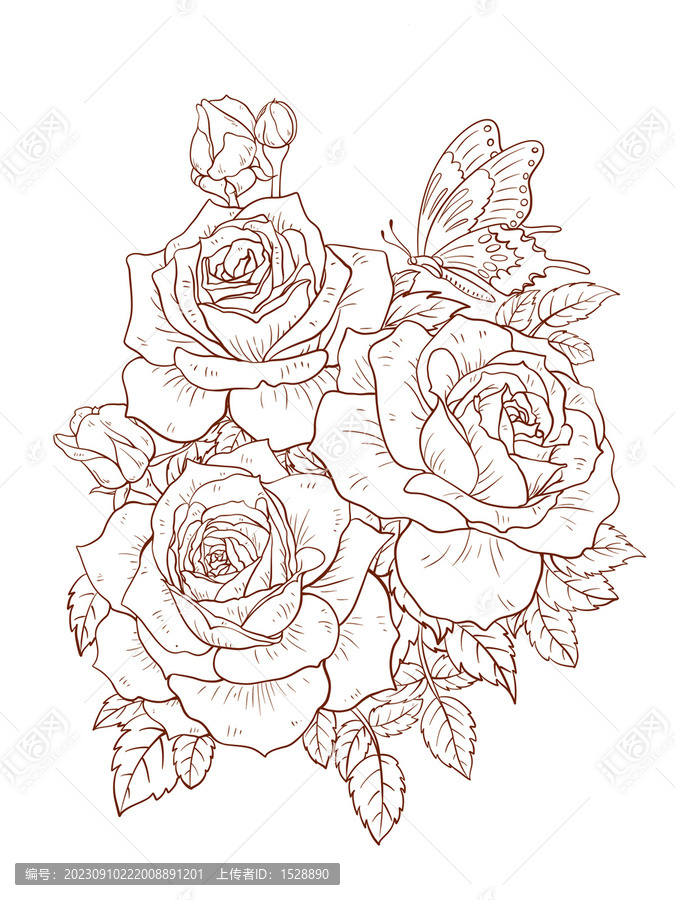 月季花白描線稿