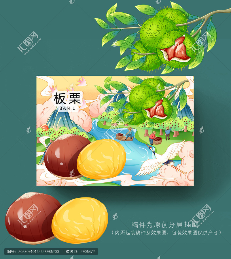 板栗插畫包裝