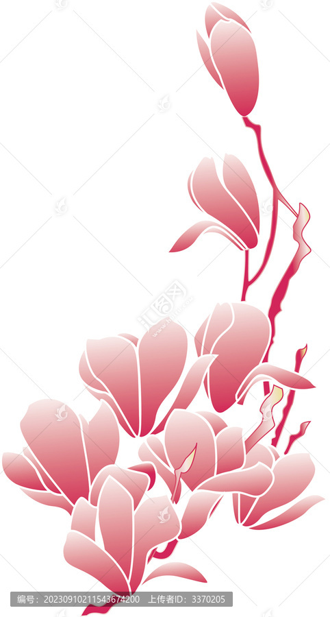 迎春花