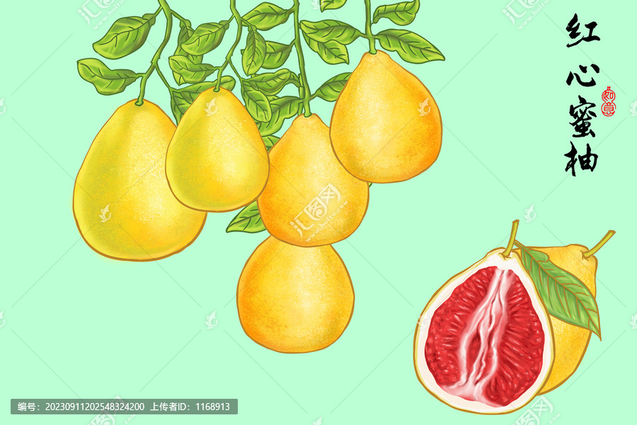 手繪柚子插畫