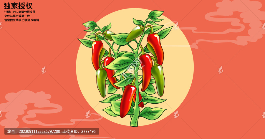 手繪辣椒插畫