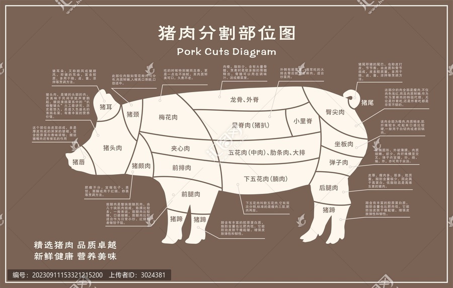 豬肉分割圖