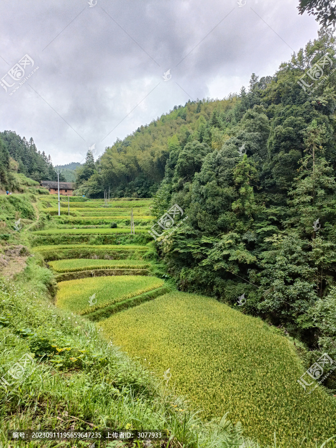 农村梯田