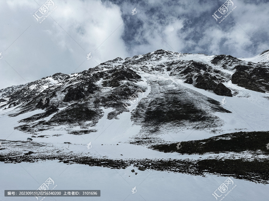 雪山特写