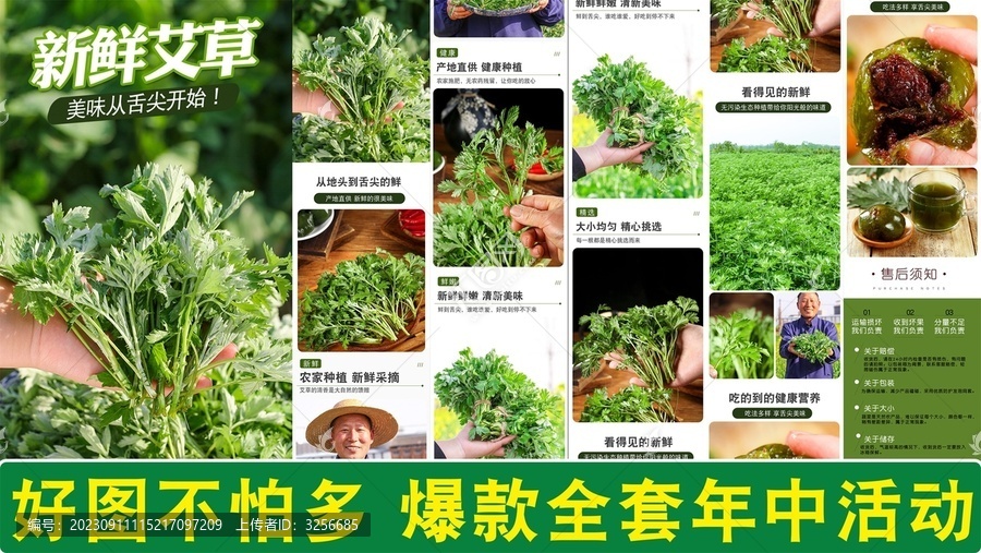 艾草詳情頁(yè)